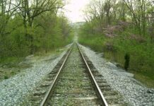 What “Doesn’t Belong?”